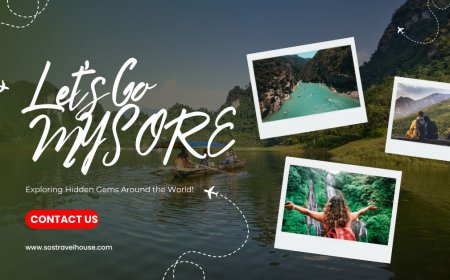 Mysore Ooty Coorg Tour Package – Best Karnataka & Tamil Nadu Tour