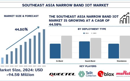 Southeast Asia Narrow Band IoT Market Industry Report, 2033 | UnivDatos