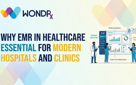 Why EMR in Healthcare is Essential for Modern Hospitals and Clinics
