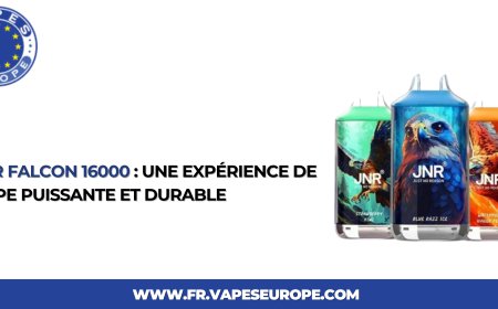 Jnr falcon 16000 : Une expérience de vape puissante et durable