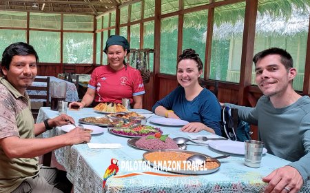 Reasons to hire top tour operators for Manu Jungle Tours