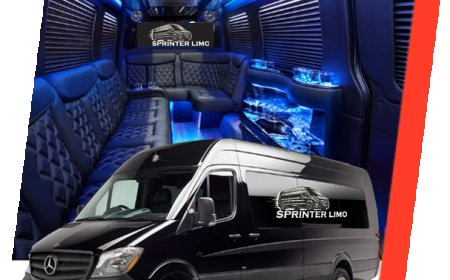 Top Transportation Services in Brampton, ON – Luxury, Reliable & Affordable Travel