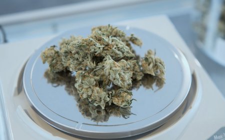 How to Buy Bulk Weed Online Safely in Canada