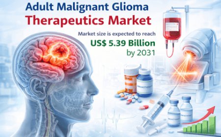 Adult Malignant Glioma Therapeutics Market 2031: Trends, Growth Analysis, and Strategic Competitive Insights