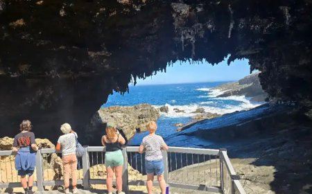 Kangaroo Island Day Tours