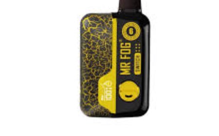 The Real Connection Between Physical Activity and Personal Wellness