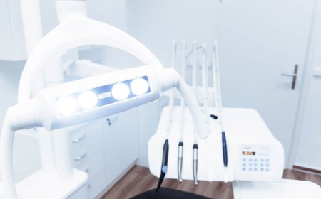 Hutt Dental Hub Provides Comprehensive Family Dental Care Across the Hutt Valley