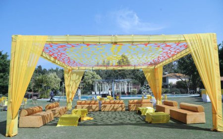 How to Plan a Budget Destination Wedding in Jim Corbett