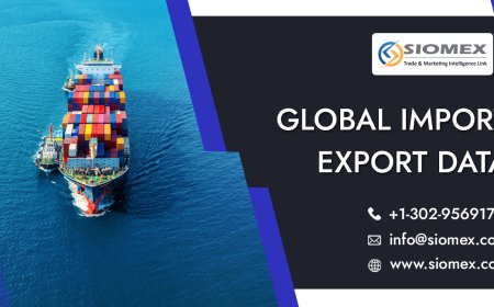 Import Export Data: A Complete Guide for Businesses in 2026