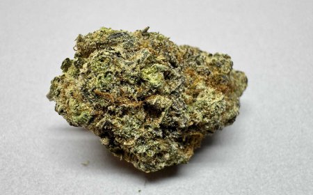 Top Reasons to Try Rainbow Driver for Relaxation and Stress Relief