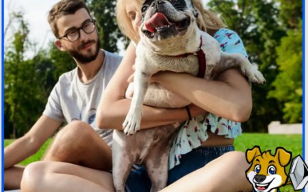 Professional Dog Pooper Scooper Service for a Clean Yard