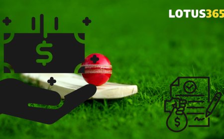 Session Betting in IPL: The Indian Bettor’s Most Valuable Market