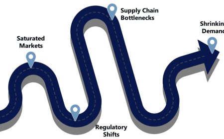 Market Research Reports: Strategic Insights for Smarter Business Decisions