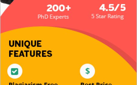 Top Reasons to Choose Assignment Help Services for Academic Success