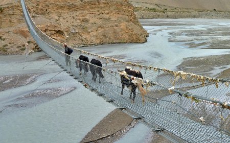 Experience Thrills and Culture on the Upper Mustang Jeep Expedition