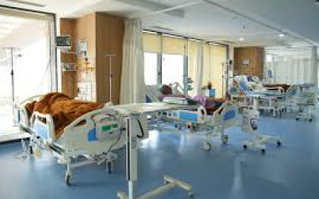 Fissure Treatment in Bangalore: Everything You Need to Know for Effective Healing