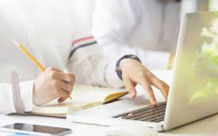 From Patient Charts to Scholarly Pages: Comprehensive Writing Support in BSN Education