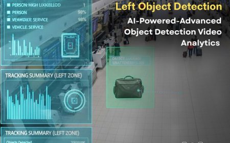 Enhancing Qatar Surveillance with Advanced Object Detection Technology