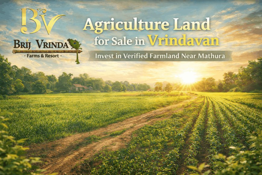Agriculture Land for Sale in Vrindavan: A Smart Step Toward Peaceful Living & Profitable Investment