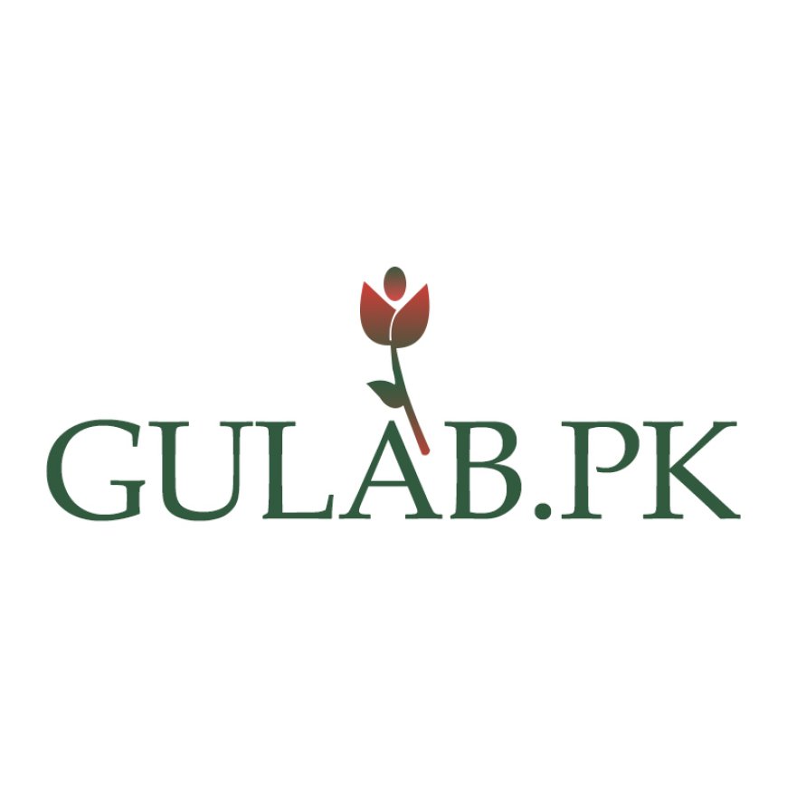 Online Plants in Pakistan – Greenery at Your Doorstep