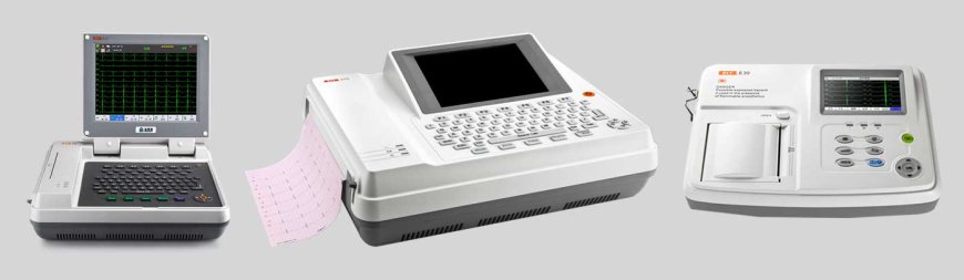 CEW – Advanced Hydraulic Lifting Solutions for Industrial Operations in the UAE