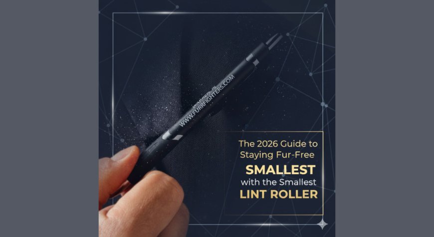 The 2026 Guide to Staying Fur-Free with the Smallest Lint Roller