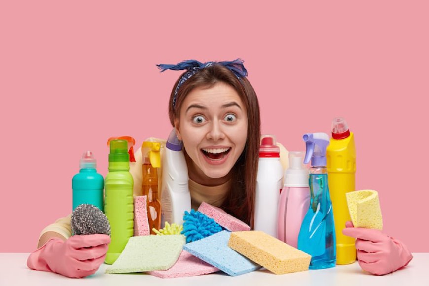 Simplifying Life with Essential Household Products