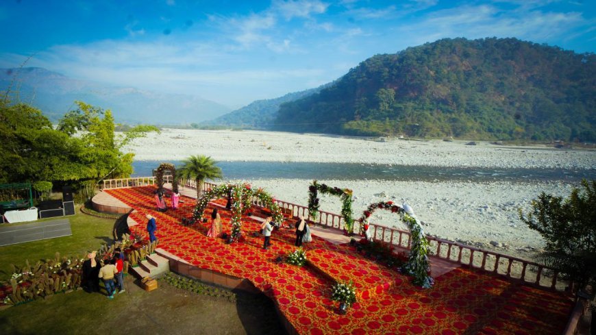 A Perfect Blend of Romance and Nature – Destination Wedding in Jim Corbett
