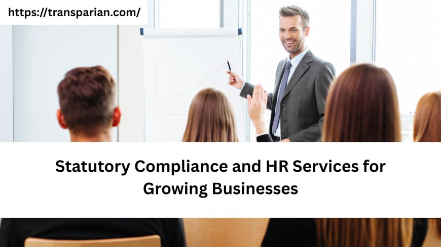 Statutory Compliance and HR Services for Growing Businesses