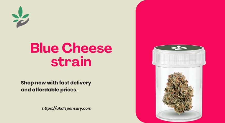 Best Blue Cheese Strain Cannabis Guide | UK Dispensary