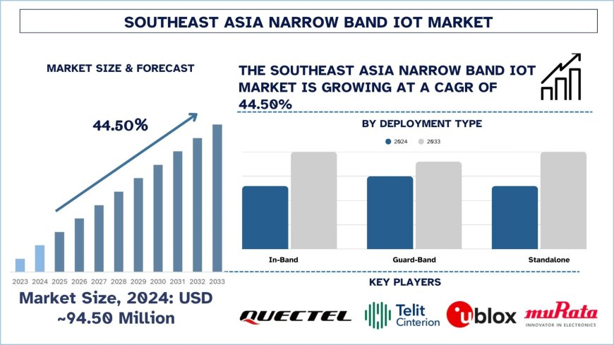 Southeast Asia Narrow Band IoT Market Industry Report, 2033 | UnivDatos