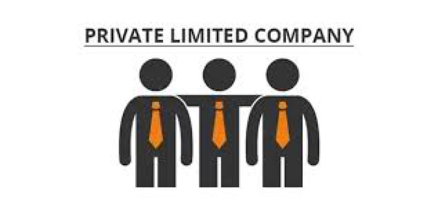 Private Limited Company Registration in India: Easy Guide for Entrepreneurs