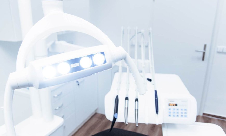 Hutt Dental Hub Provides Comprehensive Family Dental Care Across the Hutt Valley