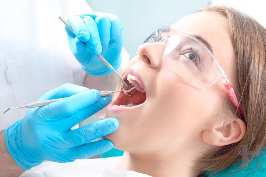 Hutt Dental Hub Provides Comprehensive Family Dental Care Across the Hutt Valley