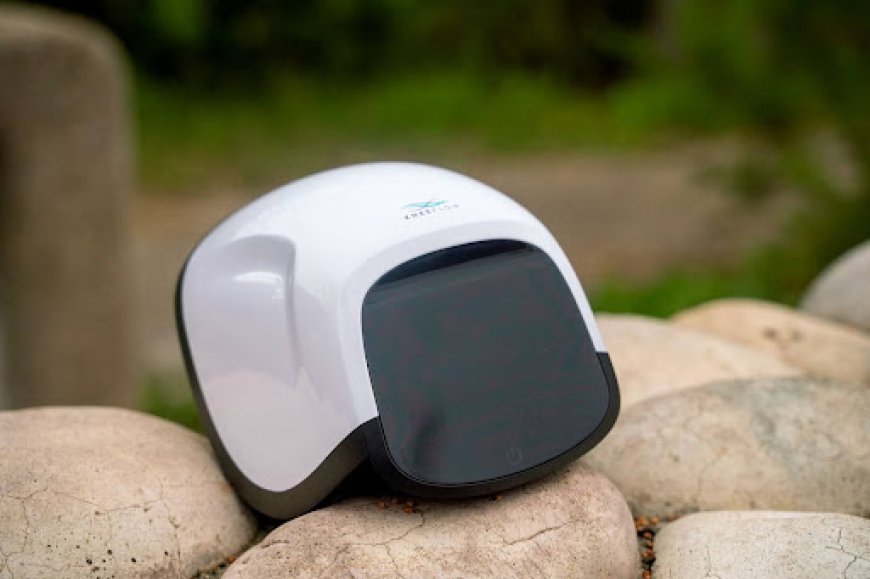 Beyond Pills: Best Knee Pain Relief Equipment You Need to Try