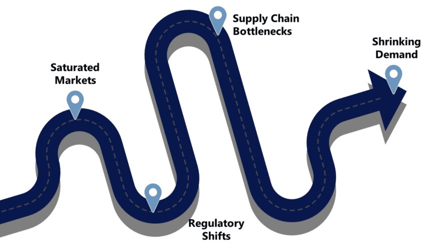 Market Research Reports: Strategic Insights for Smarter Business Decisions