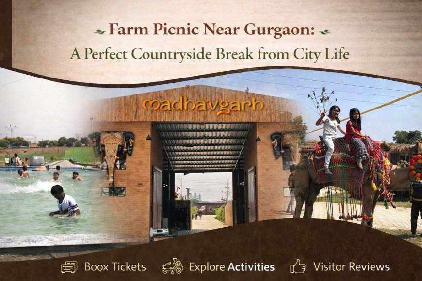 Get the Best Madhavgarh Farms Coupon Deals with Farms Coupon
