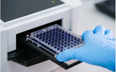 ELISA Assay Validation Strategies for Regulated Bioanalytical Studies