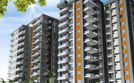 Embassy Greenshore Calls Bold Visionaries?