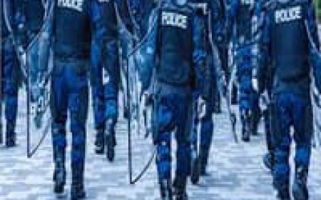 Cultural Crossroads: UK vs. US Police Stops – A Comparative Analysis