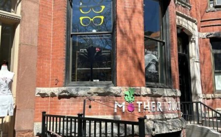 Window Signs for Business in Boston: Smart Branding with Modern Window Sign Systems