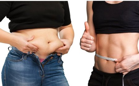 Artisanal Aesthetics: The Sophisticated Way to Melt Fat in Riyadh