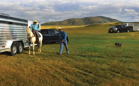 How Does an Automatic Trailer Coupler Work and Why Does It Matter?