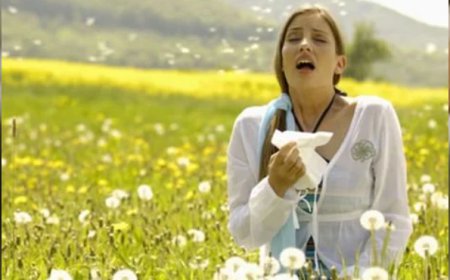 From Symptoms to Solutions: Understanding Hayfever Injections