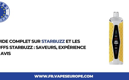 Guide complet sur Starbuzz et les puffs Starbuzz : saveurs, expérience et avis