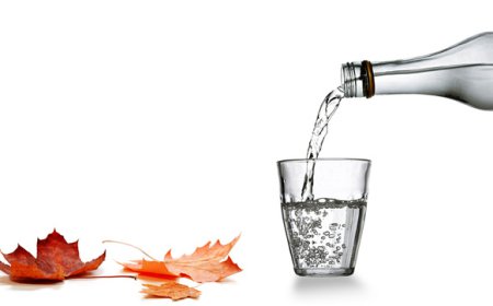 メープルウォーター市場規模、トレンド、収益、成長分析（2026年～2033年）