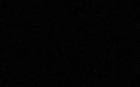 Echoes of Chance in Dutch Cultural Heritage