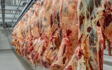 Buying Half a Cow in Texas Just Feels Right