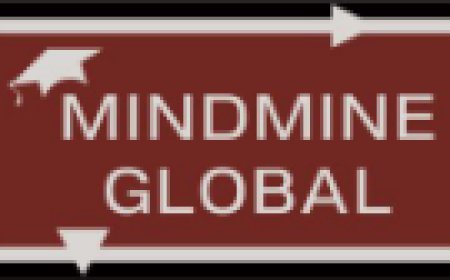 Best Study Visa Consultants for Abroad: Your Gateway to Global Education