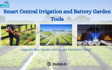 Smart Landscaping Revolution: The Future of Efficient and Beautiful Gardens